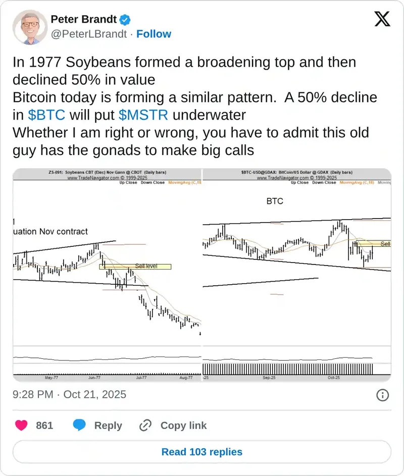 比特币走势被比拟大豆崩盘分析师警示或现50%剧烈波动