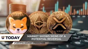 XRP周度资金流入达2.447亿美元,超越以太坊625%表现,SHIB或将去零