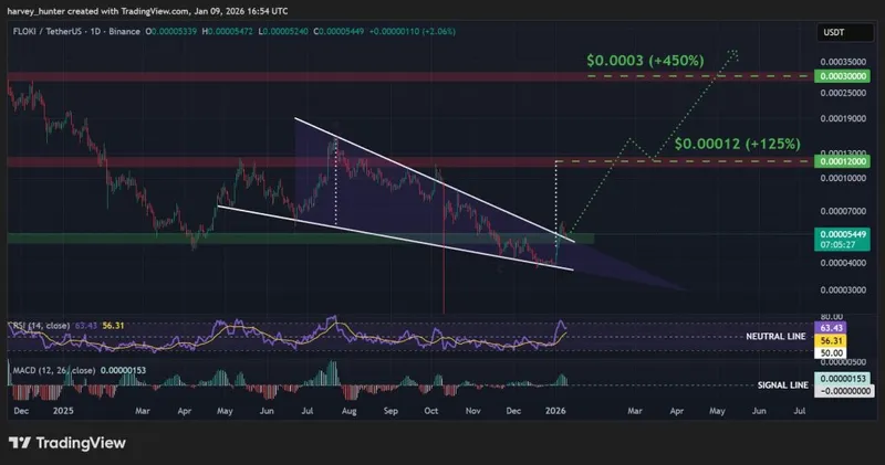 FLOKI USDT 1-day chart, falling wedge pattern. Source: TradingView.