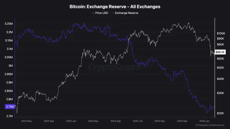 Wikipedia vs. On-Chain: Why Jimmy Wales' Bitcoin Bubble Call Clashes With Polymarket Data