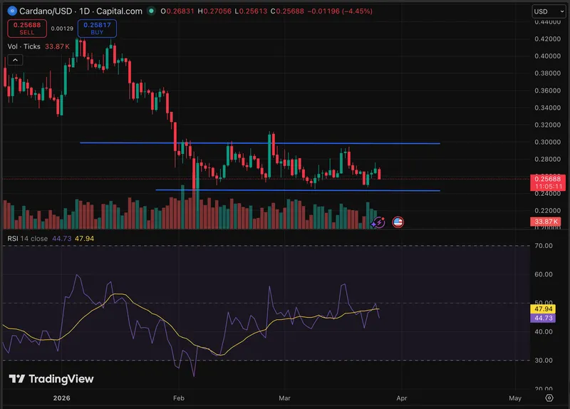 Cardano近期价格下跌5%，尽管有利的监管裁决推动了市场对其的乐观预期。