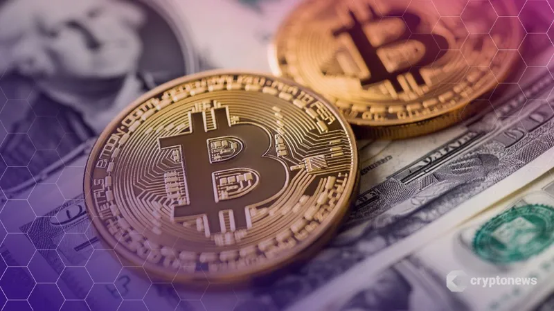 比特币助力美元稳定，警示通胀与债务风险