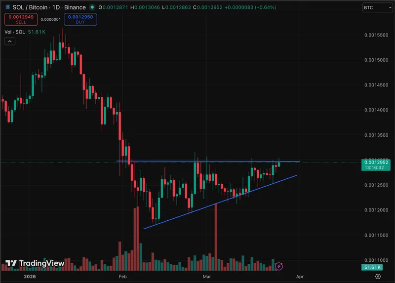 Solana价格正在努力保持支撑,交易价格为92美元,交易员们在关注明确的市场走向和看涨预测。