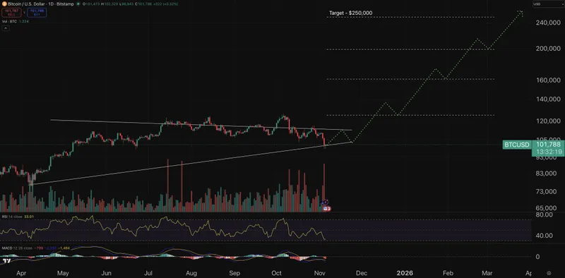 Bitcoin chart - crypto price prediction.