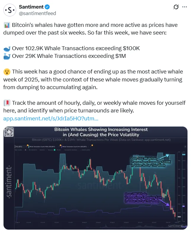 比特币巨鲸交易量激增或创今年新高