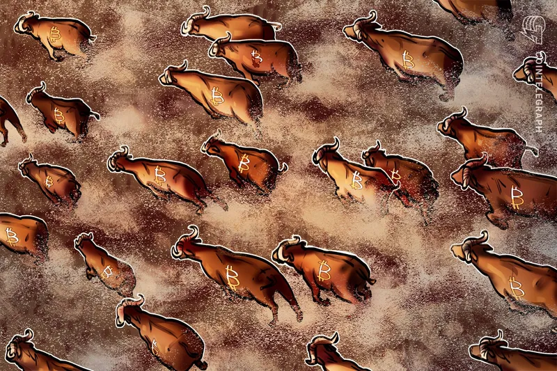 比特币（BTC）回暖行情面临阻力，分析师称熊市仍在持续