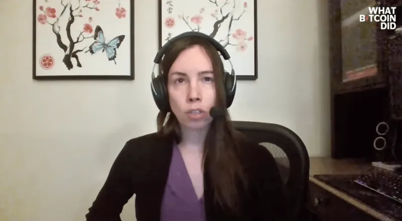 LynAlden：比特币不会大幅崩盘，市场未至狂热阶段