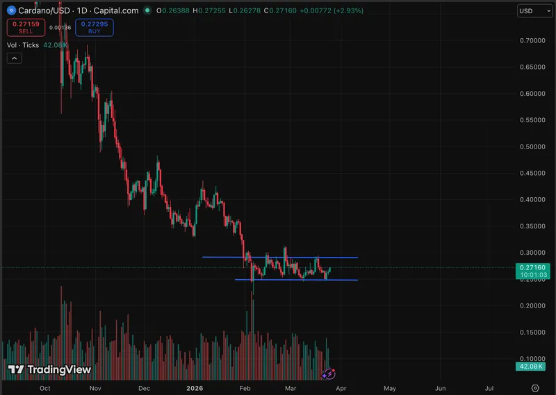 Cardano价格处于关键整合阶段，交易区间在0.25美元至0.27美元之间，链上预测显示潜在反转信号。