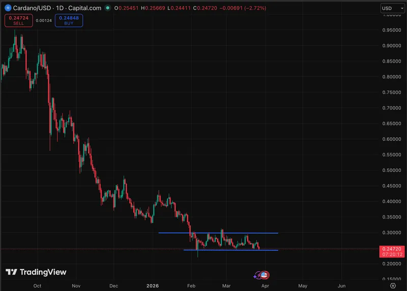 Cardano当前价格低于25美分，周跌幅达8%。其生态系统的现状令人担忧。