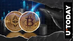 比特币老玩家持续抛售近期转入价值6230万美元BTC