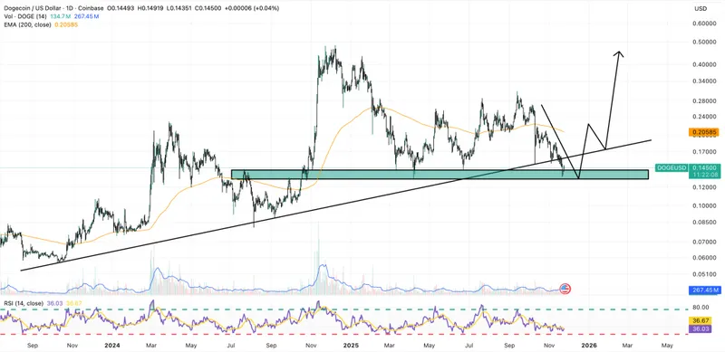 maxi doge price chart