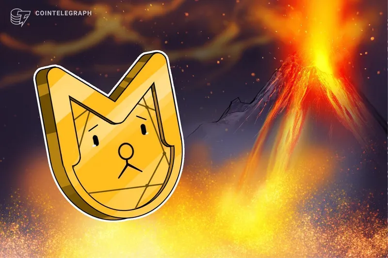 迷因币从圣诞欢欣跌至冷酷现实，一年内暴跌65%