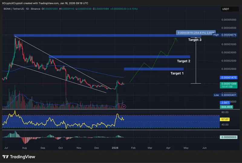 BONK / USDT 1-day chart, Doge-esque falling wedge breakout. Source: TradingView.