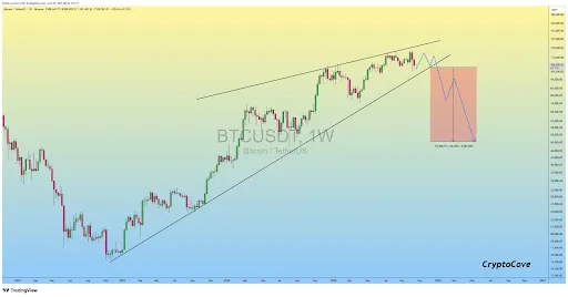 比特币或跌至5万美元分析师警示牛市结束风险加剧