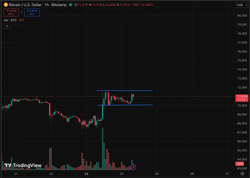 尽管比特币价格预测乐观，但整体加密市场本周表现不佳。