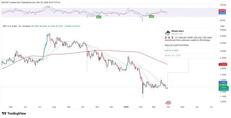 XRP鲸鱼转移5040万美元至Coinbase，短期比特币持有者面临极大亏损