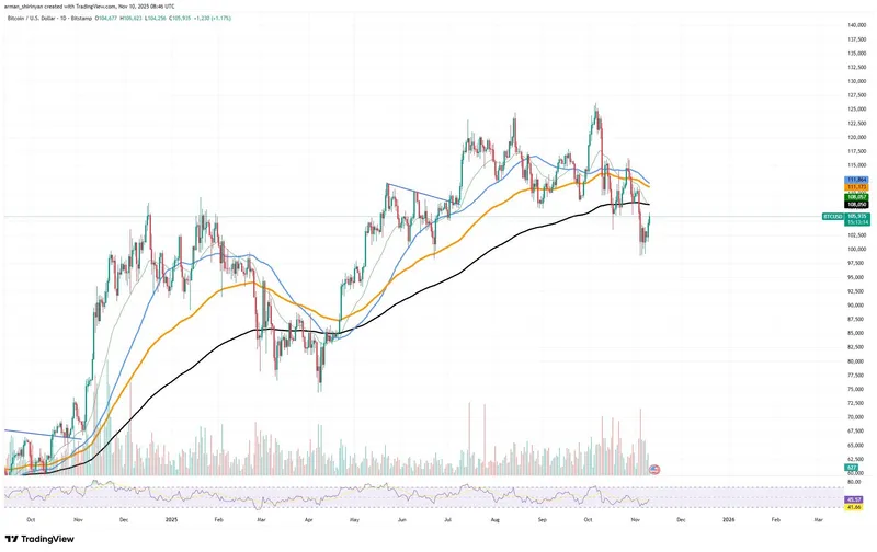 加密市场反弹致交易员詹姆斯·温12小时内遭遇12次强平