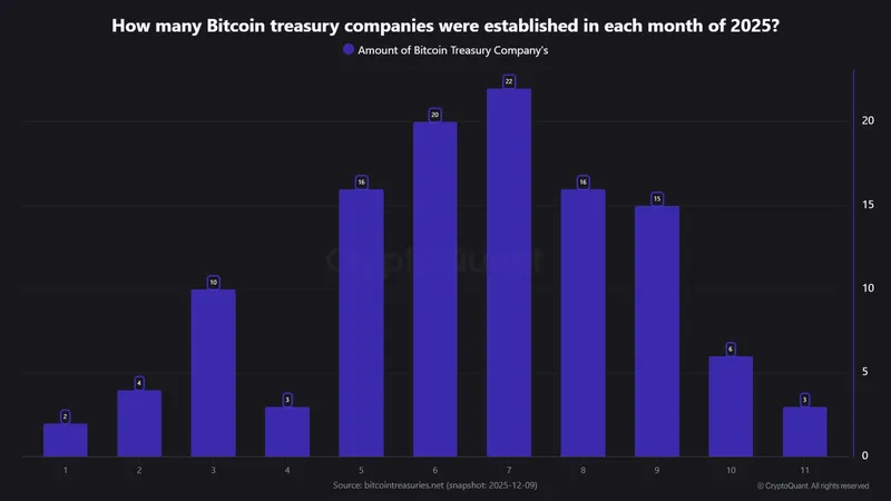 比特币财库增速放缓大型企业持续增持BTC