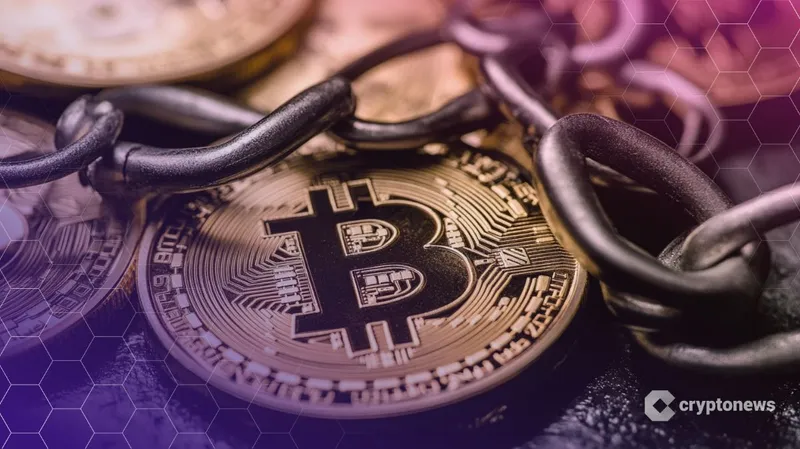 BitRiver创始人因逃税被俄方拘留面临法律挑战