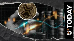 XRP手续费暴跌89%,比特币清算失衡达4,100%