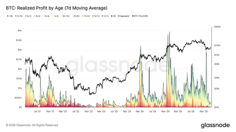 Bitcoin Capital Inflows - BTC: Realized Profit by Age Chart