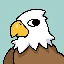 bald-eagle