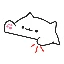bongo-cat