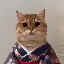 cat-own-kimono