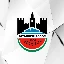 diyarbekirspor-token