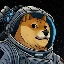 doge-1-satellite