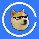 doge-in-glasses