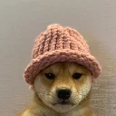 dogwifhat-eth
