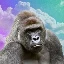 harambe-on-solana