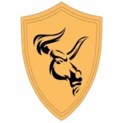 hollywood-capital-group-warrior