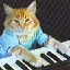 keyboard-cat