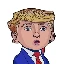 mini-donald