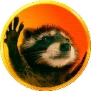 pedro-the-raccoon