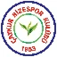 rizespor-token