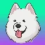 samoyedcoin