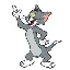 tom-cat